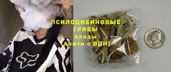 гидра Богородск